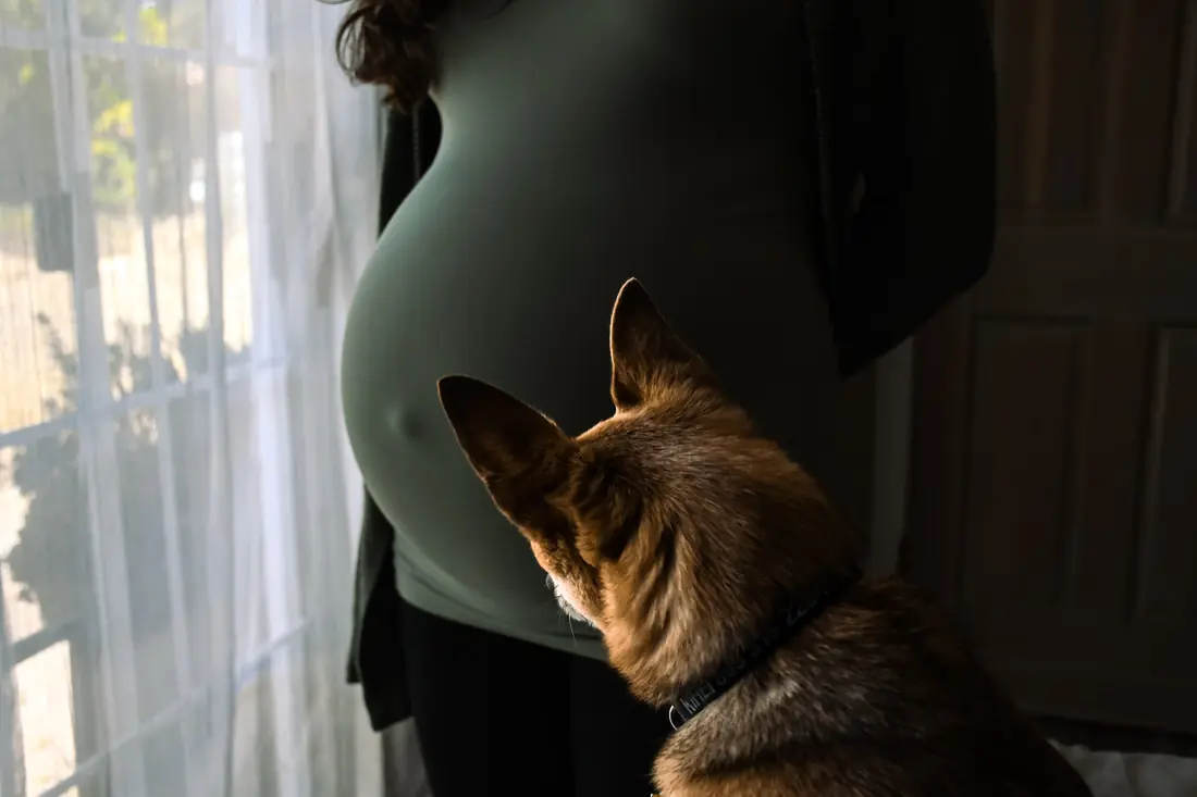 Maternity — frame 2 of 6, Sarah N. Smith Photography