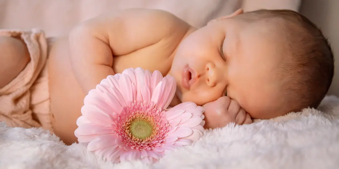 Newborn — frame 17 of 21, Sarah N. Smith Photography